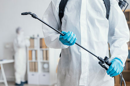 Pest Control Service